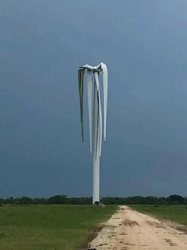 Acid Picdump 1 (90 pics)