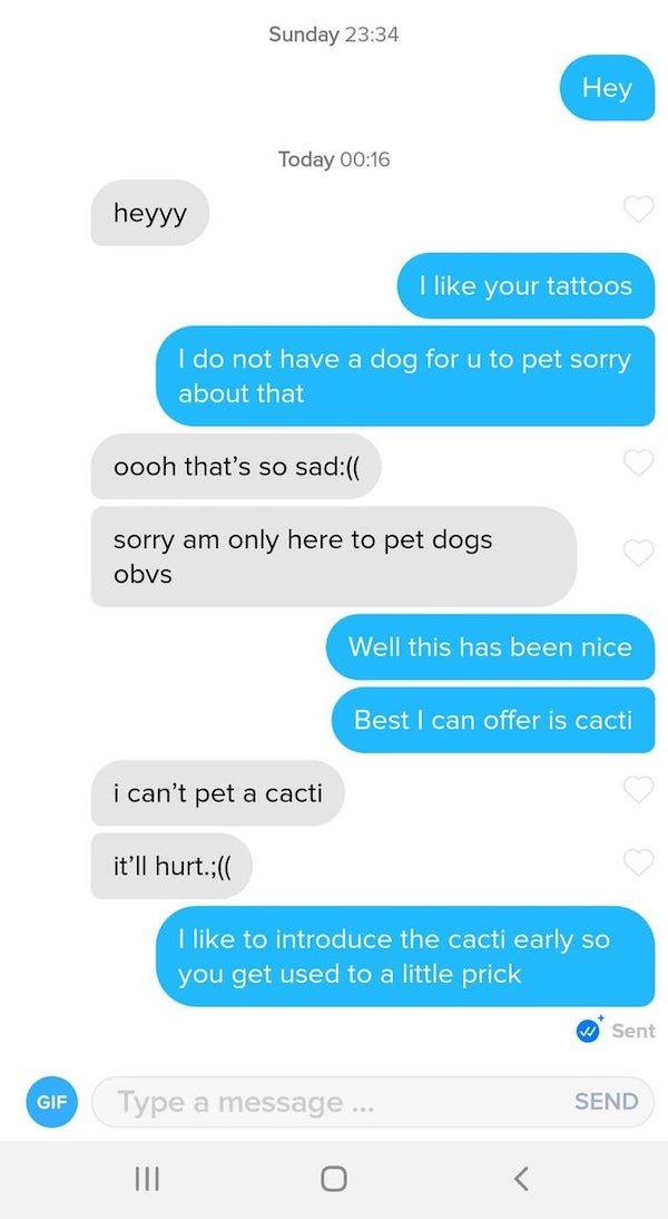 Weird Tinder Texts (25 pics)