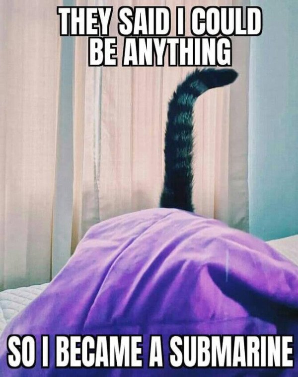 Dad Memes (27 pics)