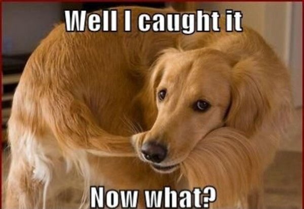 Dad Memes (27 pics)