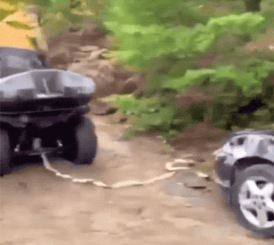 Fails (39 gifs)