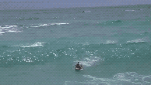 Fails (39 gifs)