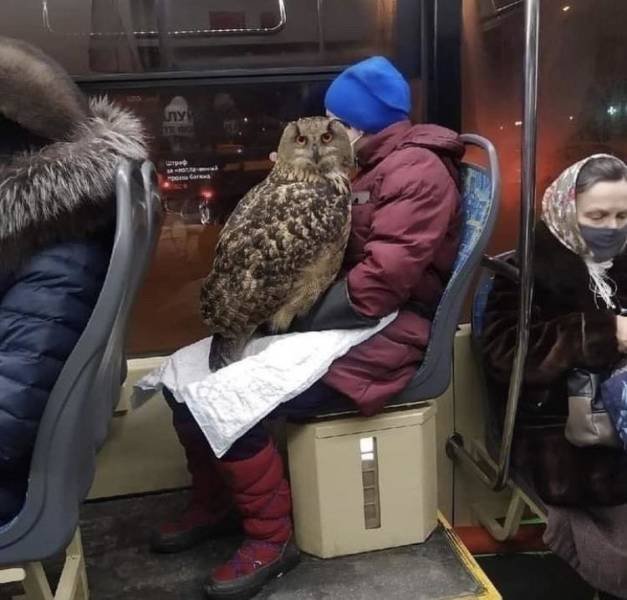 Acid Picdump 2 (90 pics)
