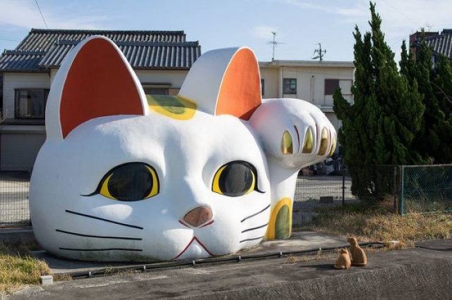 Acid Picdump 1 (92 pics)