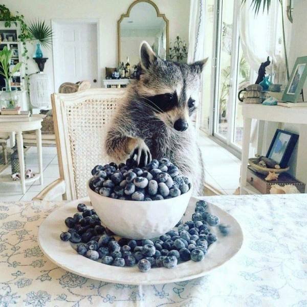 Acid Picdump 1 (92 pics)