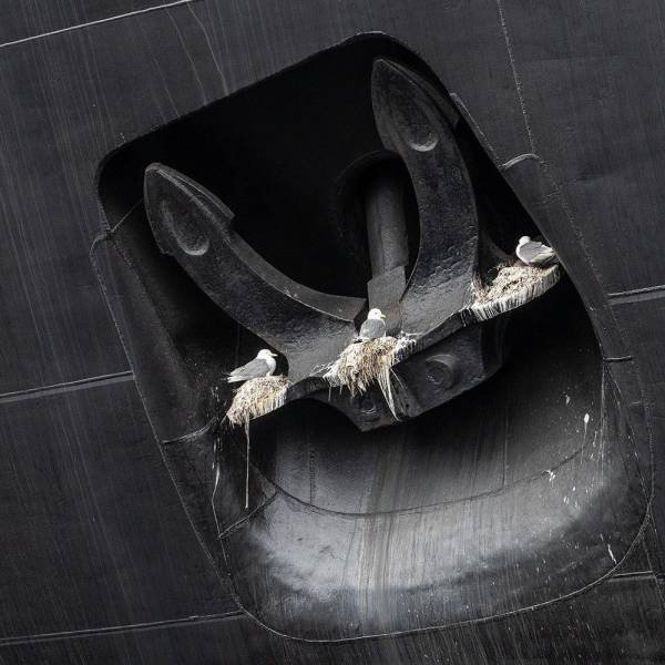 Acid Picdump 1 (92 pics)