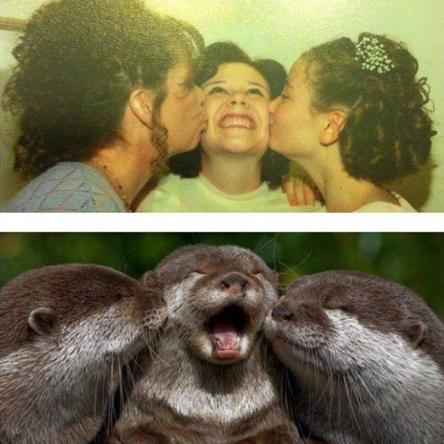 Acid Picdump 1 (92 pics)