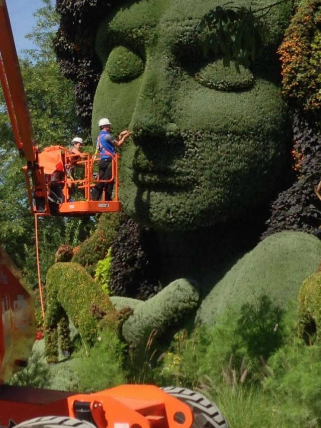 Acid Picdump 1 (92 pics)