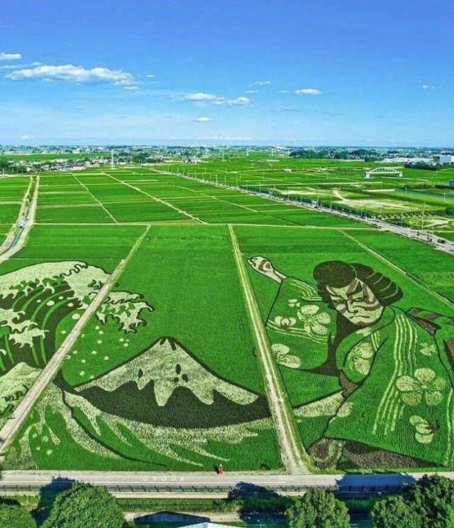 Acid Picdump 1 (92 pics)