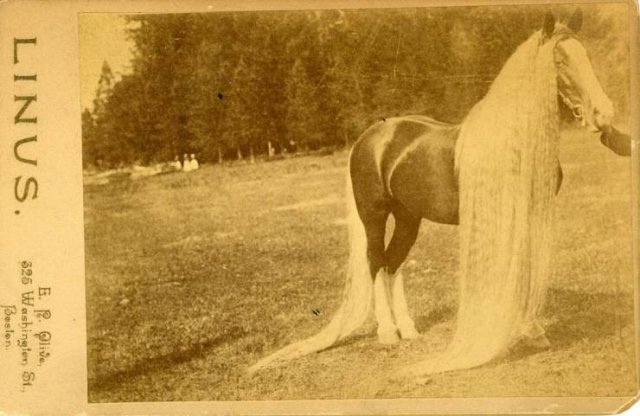 Acid Picdump 1 (92 pics)