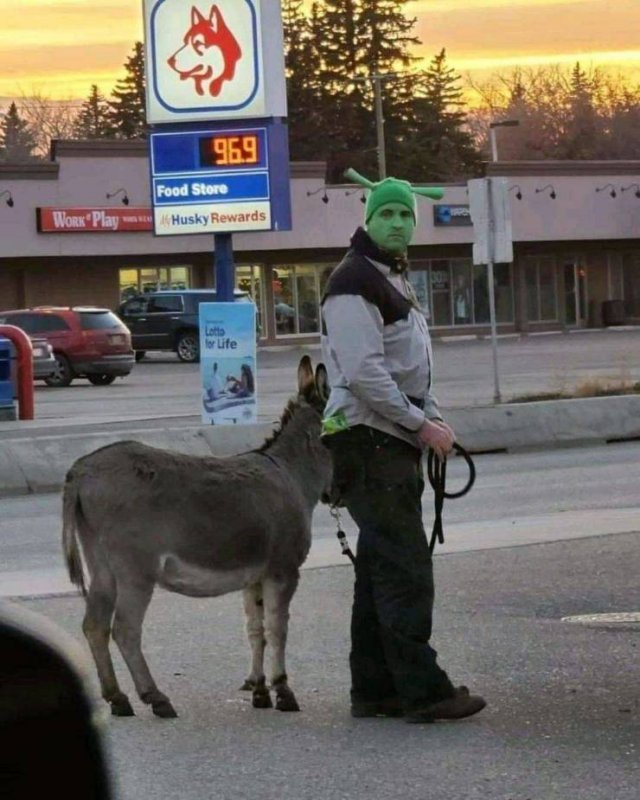 Acid Picdump 1 (92 pics)