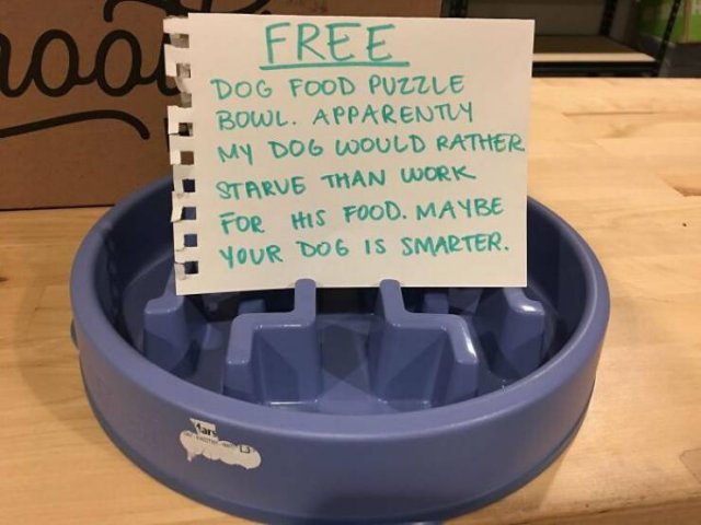 Dogs Shaming (40 pics)