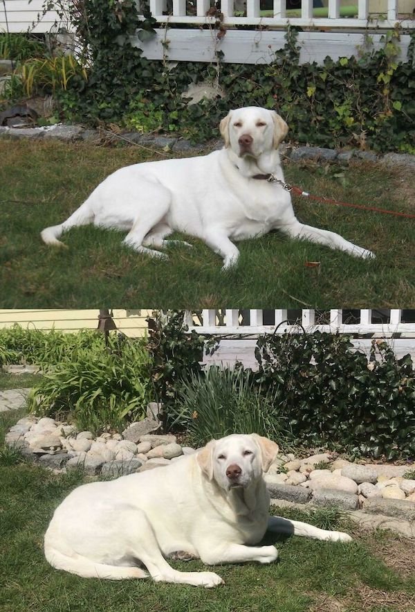 Family Photo Recreations (28 pics)