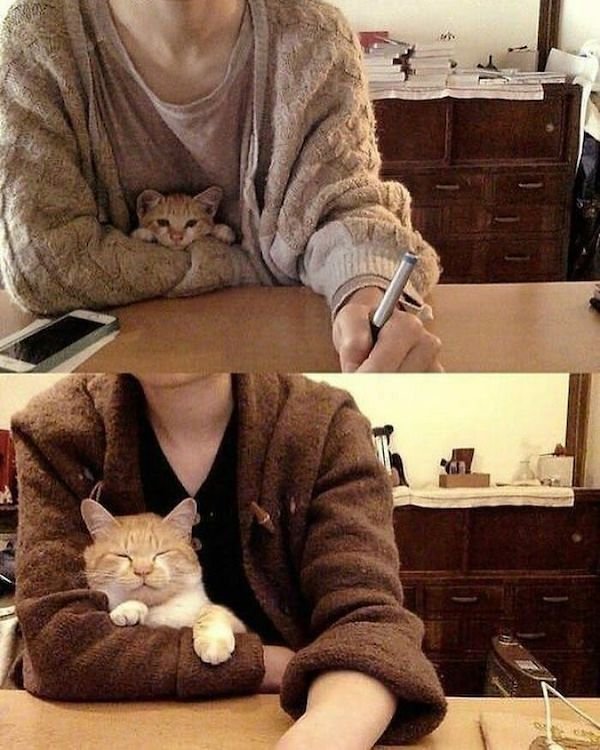 Family Photo Recreations (28 pics)