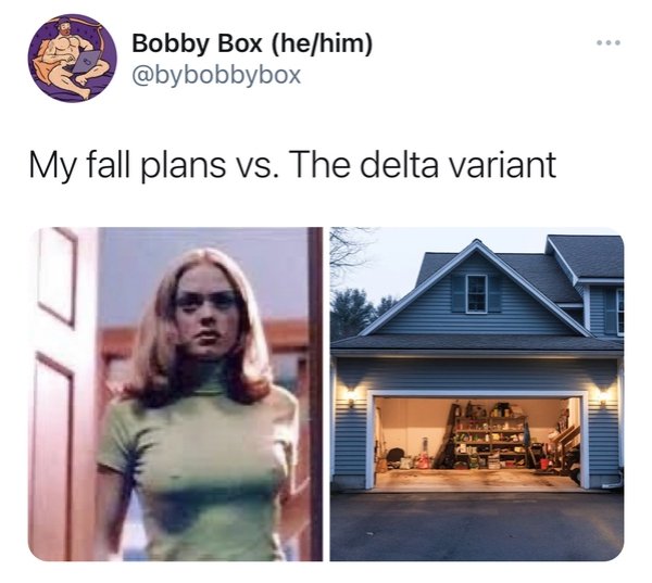 The Delta Variant Memes (27 pics)