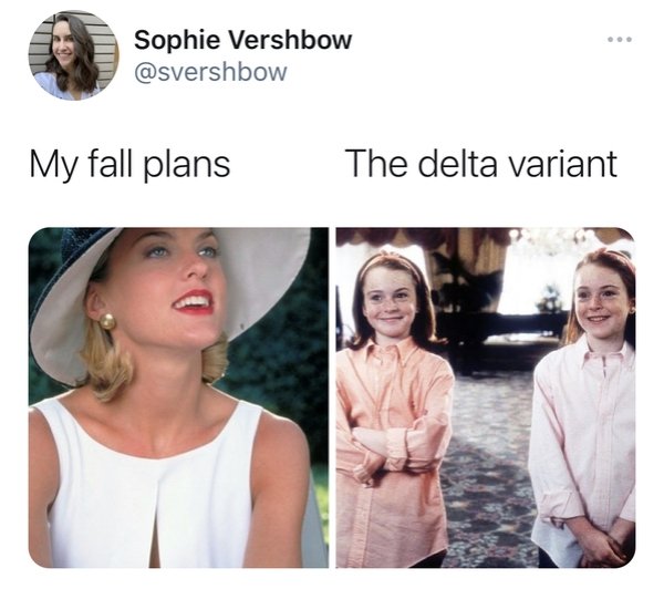 The Delta Variant Memes (27 pics)