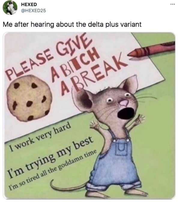 The Delta Variant Memes (27 pics)