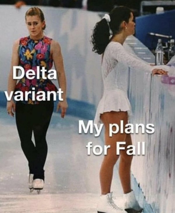 The Delta Variant Memes (27 pics)