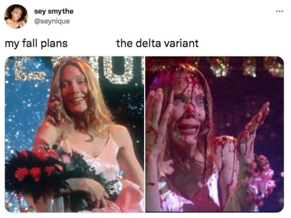 The Delta Variant Memes (27 pics)