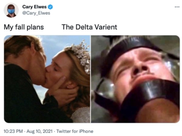 The Delta Variant Memes (27 pics)