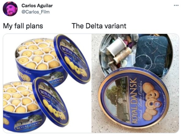 The Delta Variant Memes (27 pics)