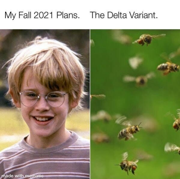 The Delta Variant Memes (27 pics)