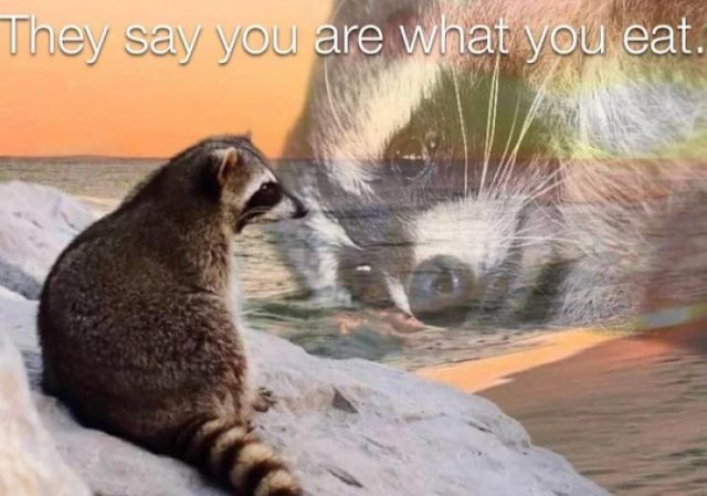 Acid Picdump 2 (90 pics)