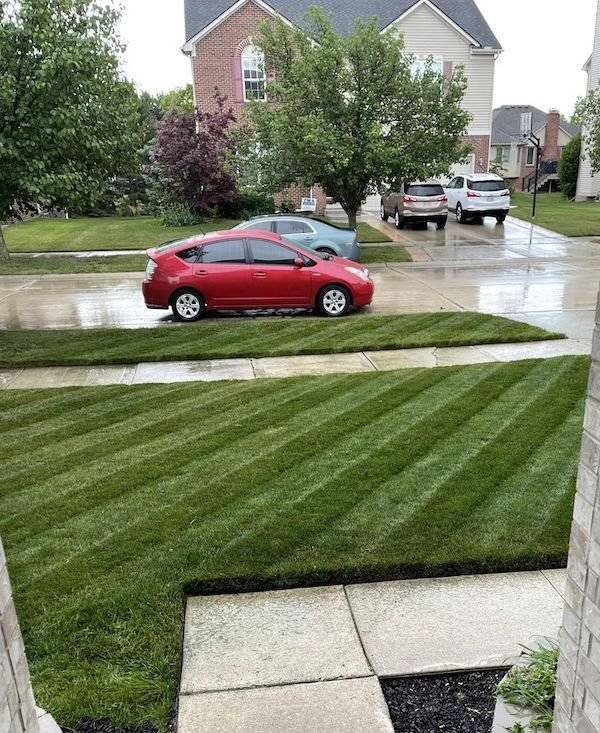 Perfection Is Possible (29 pics)