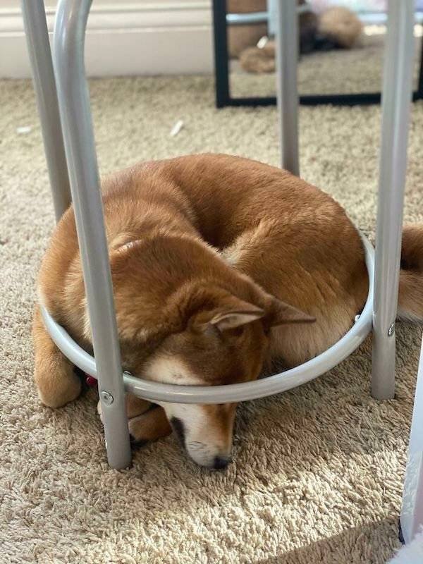 Perfection Is Possible (29 pics)