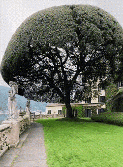 Perfection Is Possible (29 pics)