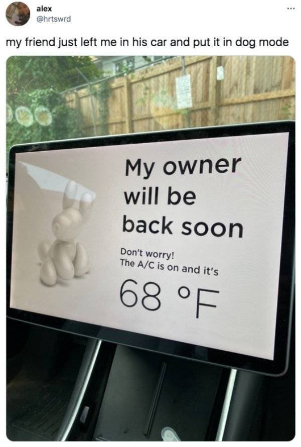 Funny Tweets (30 pics)