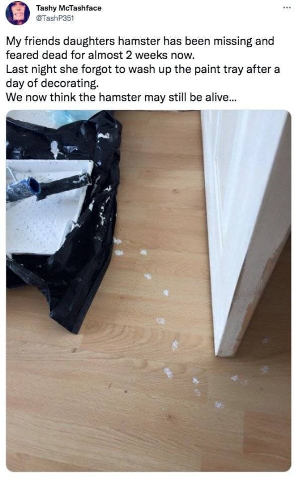 Funny Tweets (30 pics)