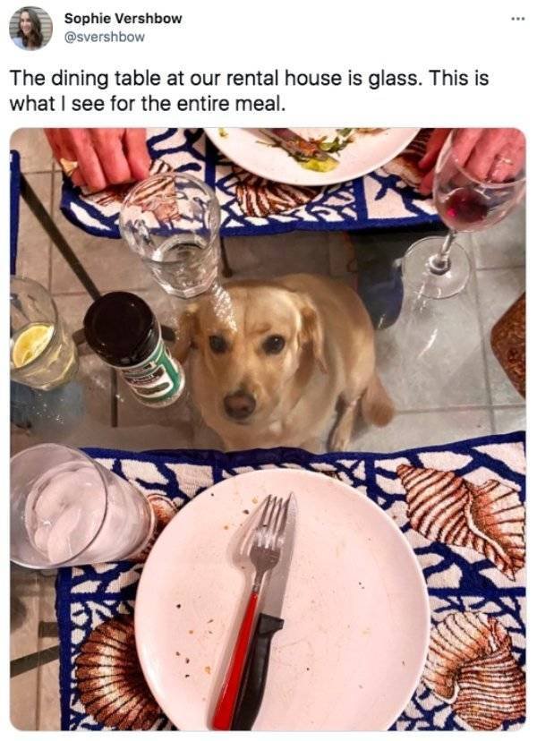 Funny Tweets (30 pics)