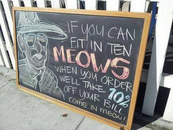 Hilarious Cats (25 pics)