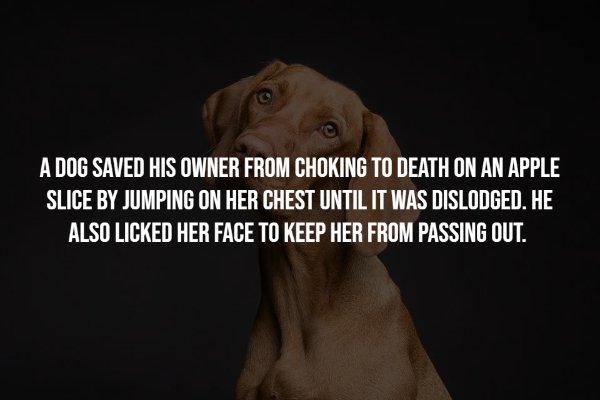 Intriguing Facts (17 pics)