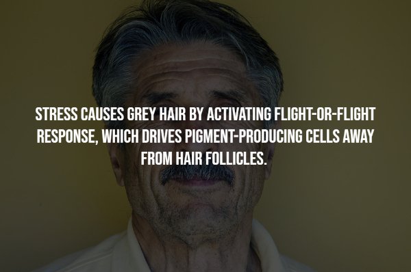 Intriguing Facts (17 pics)