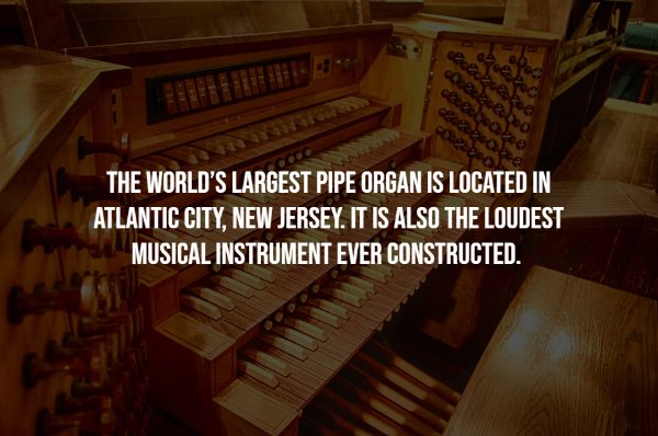 Intriguing Facts (17 pics)