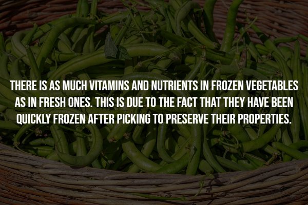 Intriguing Facts (17 pics)