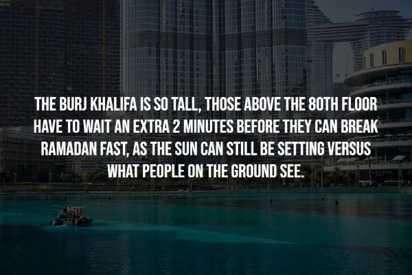 Intriguing Facts (17 pics)