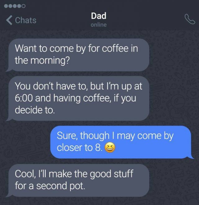 Dads Will Be Dads (17 pics)