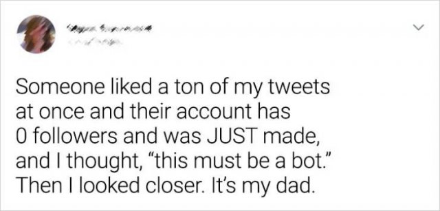 Dads Will Be Dads (17 pics)
