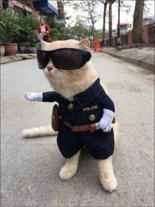 Acid Picdump 2 (76 pics)