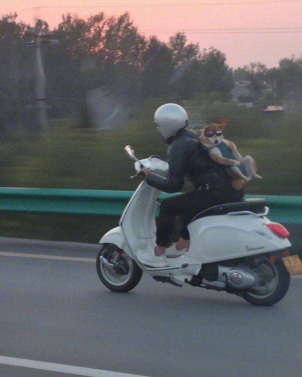 Acid Picdump 2 (76 pics)