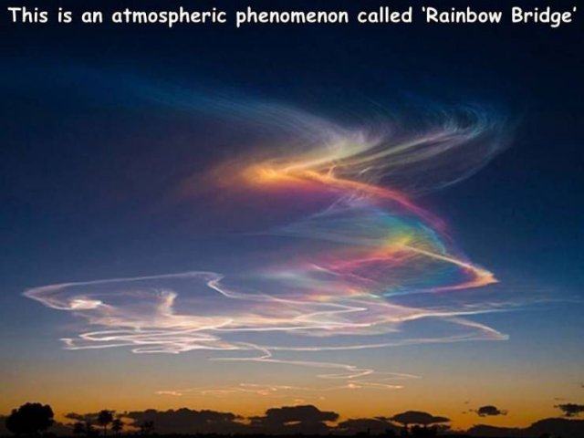 Acid Picdump 2 (76 pics)