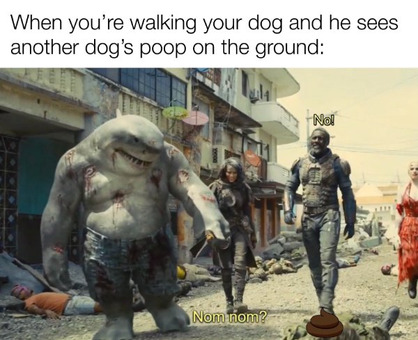 Random Funny Memes (23 pics)