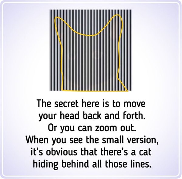 Optical Illusions (32 pics)