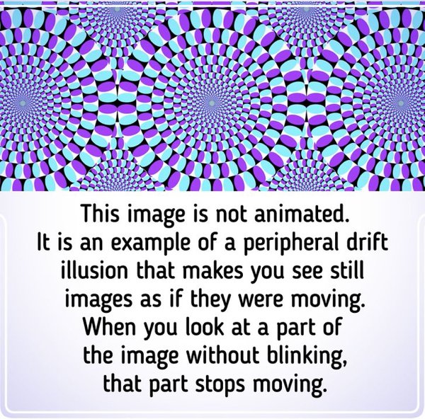 Optical Illusions (32 pics)