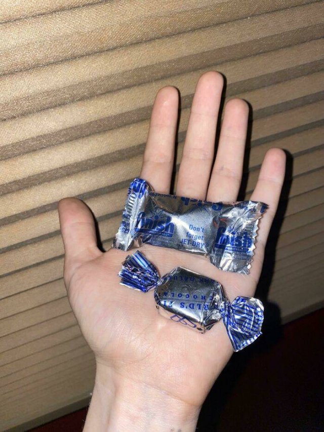 Things That Look Like Food (39 pics)