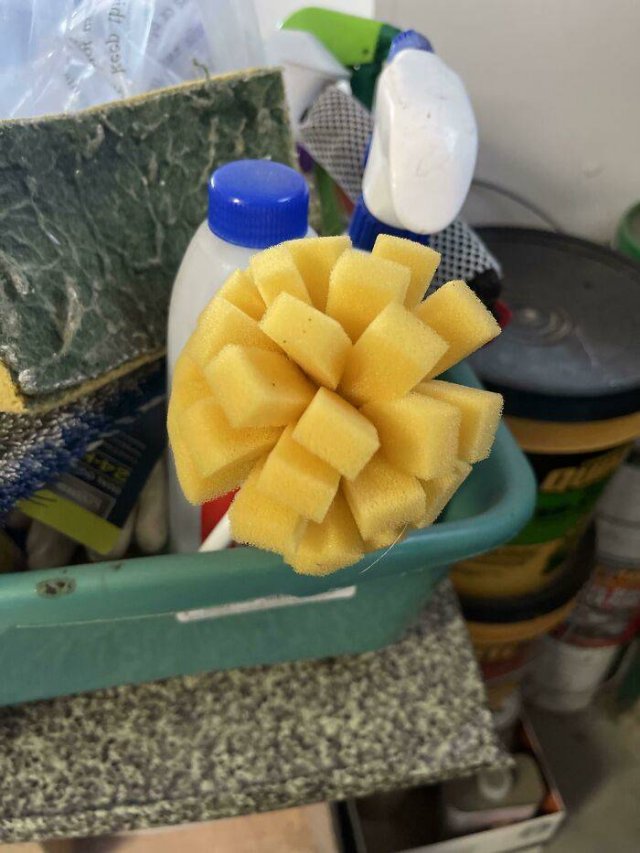 Things That Look Like Food (39 pics) Things That Look Like Food (39 pics)