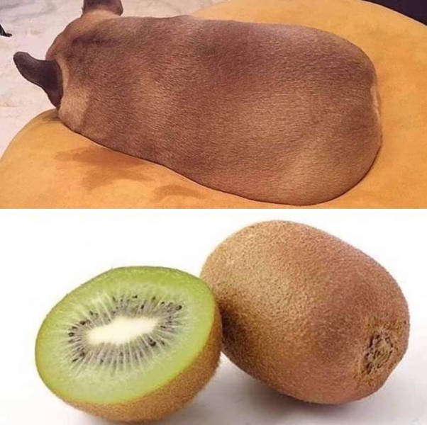 Things That Look Like Food (39 pics)